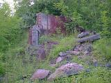remains of an old factory overgrown with plants