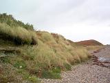 a rocky coastal beach with wind swept grasses and erosion