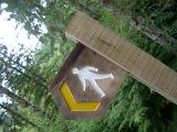 Wooden sign marking a footpath showing a cutout of a walking man painted in white with a yellow arrow alongside in a woodland setting
