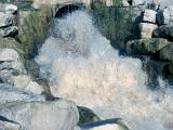 Water gushing out of a cement pipe into a spillway in a white torrent, probably either a stormwater outlet or overflow