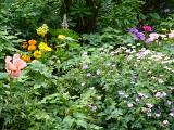 Lush garden background with pink, orange, yellow, purple and white flowers for nature theme