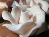 Ornamental white icing sugar rose for decorating cakes at a bakery or home baking, close up side view