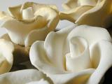 Close Up of Decorative Delicate White Icing Flower Roses Dusted in Gold Dust
