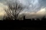 dark storky sky with tree silhouette