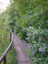 Footpath with iron railings curving to the left through dense greenery and bushes in a concept of a healthy outdoors lifestyle and nature