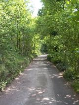 Scenic View of Country Dirt Road Through Lush Green Forest, Patches of Sunshine Shining Through Tree Branches Creating Shadows on Lane Way