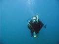 A rare glimpse of the freeimages webmaster - scuba diving, queensland, australia