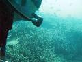breathing underwater through a scuba regulator