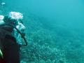 breathing underwater through a scuba regulator
