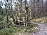 Hiking path crossing a rustic bridge over a woodland stream exploring the beauty of nature