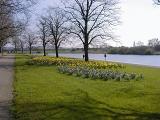 Spring Flower Beds and Bare Trees Lining Riverfront Foot Path Promenade on Sunny Day