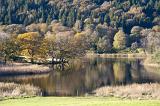 Reflections of surrounding trees mirrored in the water of a still lake in scenic countryside, landscape view
