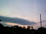 aeroplane vapour trail and a horizon of dark trees below a crepuscule sky