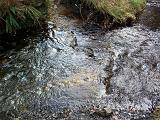 Flowing stream in a nature background providing a valuable natural resource of fresh pure water