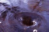 Whirlpool or vortex created by water draining down a pipe or plug hole with concentric ripples on the surface