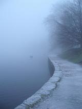 disappearing landscape, the side of a lake shrouded in mist