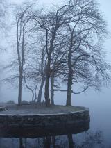 a cold winter scene, trees and mist or fog on a lake