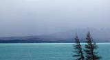 wind blows trees on the side of lake tekapo, a stormy day in new zealand