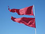 bight red flags blowing in the wind on a sunny day