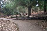 Path curving through past trees and felled logs in a public wooded park for people who wish to enjoy nature