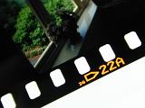 Film with picture of a flowers on a window in the frame and yellow markings on the edge of the film