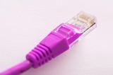 pink colored rj45 ethernet cable concept of female or gay online services, or cancer related networking