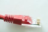Close-up view of patchcord cable plug against white background