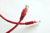 Two loose, red ethernet network cable and plugs isolated on a white background.
