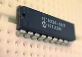 Programmable micro controller chip PIC16C84 in prototyping breadboard