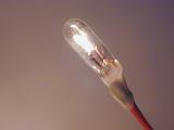 Close up of an electric, turned on grain of wheat bulb, isolated on a plain background with copy space.