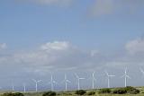a line of wind power generators