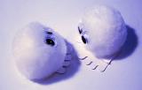 Pair of round soft fluffy little toys with big eyes and four toes photographed in purple light on a white background from above