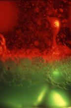 Extreme close up of abstract background composed of thick green and red liquid with bubbles