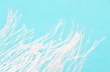 Close up view on white strands reaching upward into light blue solid background with copy space