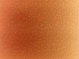 Extreme close up on fruit skin for abstract background with network of lightly colored random speckles