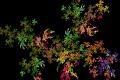 a fern fractal leaf pattern with multicoloured leaves
