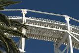 Looking up at elevated rollercoaster tracks against a sunny blue sky with palm fronds in the foreground