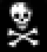 skull digital image with large white and grey pixels