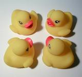four rubber duck bath toys facing each other