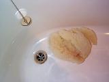 an empty bath witha natural sponge in it for scrubbing clean