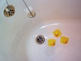 three rubber ducks high and dry in an empty bath