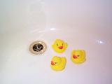 three rubber duck bath toys in an empty bath