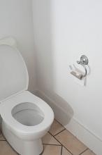 a domestic toilet with no toilet paper and plenty of copy space