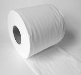 white toilet roll paper