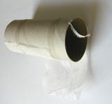 cardboard end of a toilet paper roll
