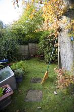 Small back yard with raked autumn leaves piled up on a green lawn against the wall of a garden shed