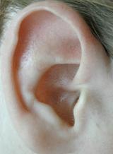 Human auricle, external part of the ear or auditory system, organ able to hear sounds, close-up