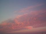 Nature or weather background of pretty pink clouds at sunset lit by the glow from the sun in a blue sky