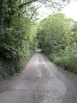 Rural Country Road Leading Away Through Lush Green Forest Trees with Far Off Curve to the Right