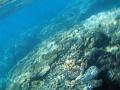 A spinning vertigo effect photo taken underwater